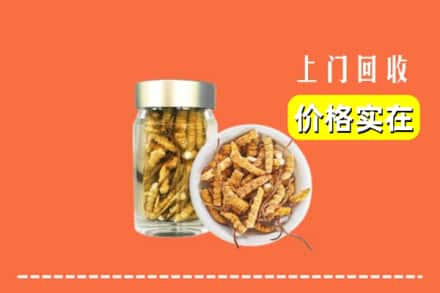 收购资讯:邵阳市隆回回收散虫草