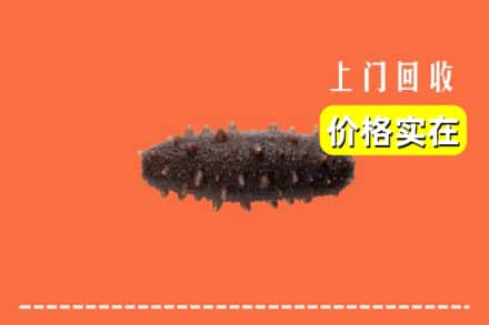 收购资讯:邵阳市隆回回收海参