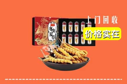 邵阳市隆回回收虫草